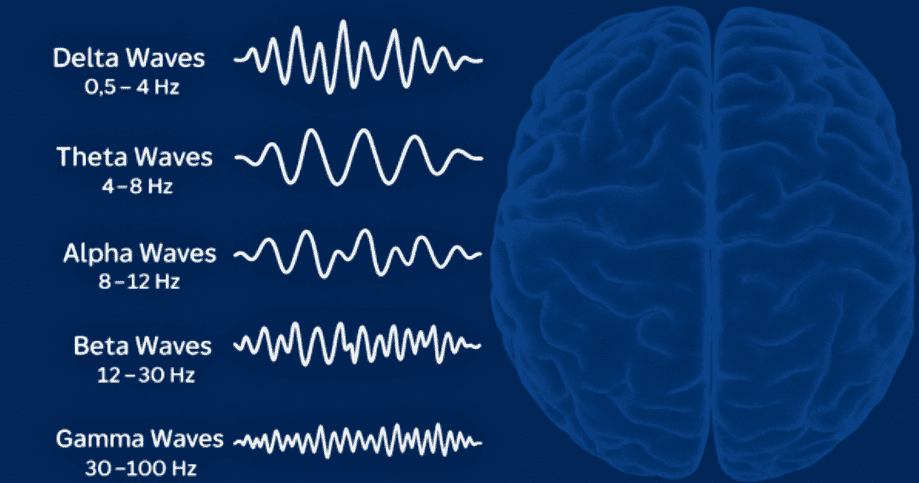 User Guide: The 5 Brain Wave Frequencies Measured by qEEG (And What They Mean for Your Mental Health)
